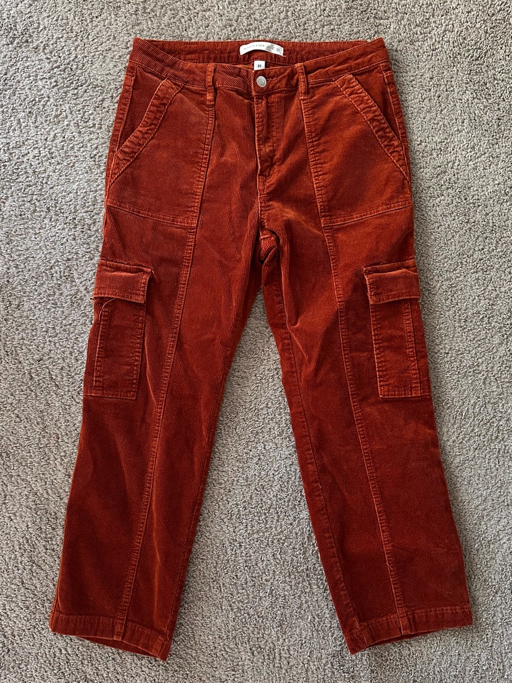 Altar'd State Men's Rust Corduroy Cargo Pants
